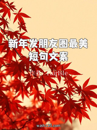 新年发朋友圈最美短句文案