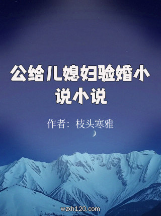 公给儿媳妇验婚小说小说