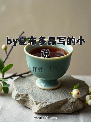 by夏布多昂写的小说