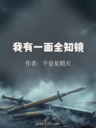我有一面全知镜