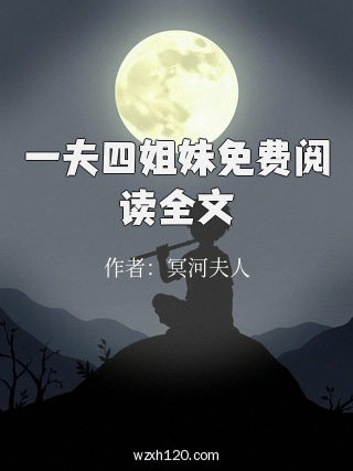 一夫四姐妹免费阅读全文