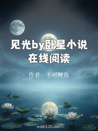 见光by卧星小说在线阅读
