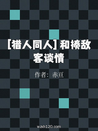[猎人同人] 和揍敌客谈情