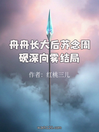 舟舟长大后苏念周砚深向雾结局