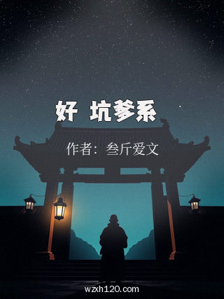 好個坑爹系統