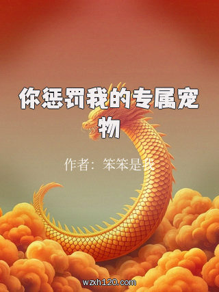 你惩罚我的专属宠物
