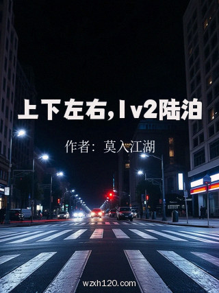 上下左右,1v2陆泊