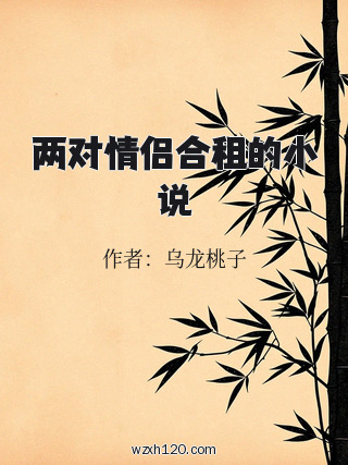 两对情侣合租的小说