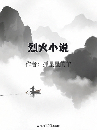烈火小说