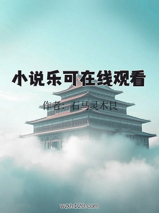 小说乐可在线观看
