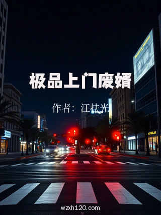 极品上门废婿