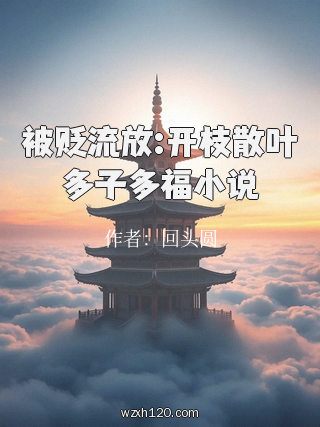 被贬流放:开枝散叶多子多福小说