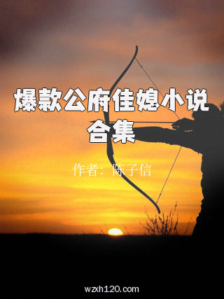 爆款公府佳媳小说合集