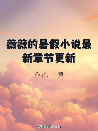 薇薇的暑假小说最新章节更新