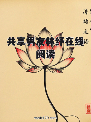 共享男友林纾在线阅读