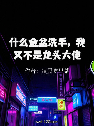 什么金盆洗手,我又不是龙头大佬