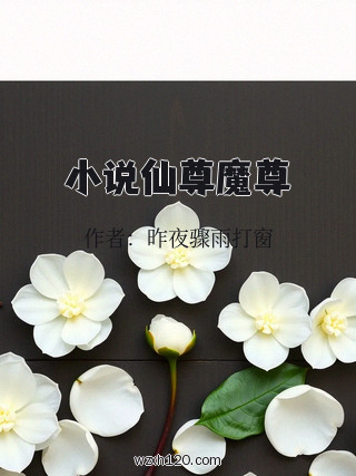小说仙尊魔尊