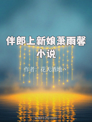 伴郎上新娘萧雨馨小说