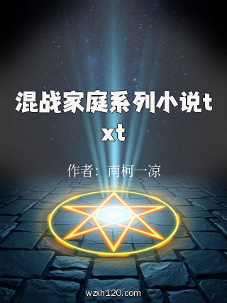 混战家庭系列小说txt
