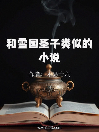 和雪国圣子类似的小说
