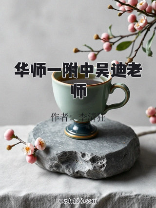 华师一附中吴迪老师