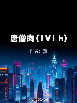 唐僧肉 (1V1 h)