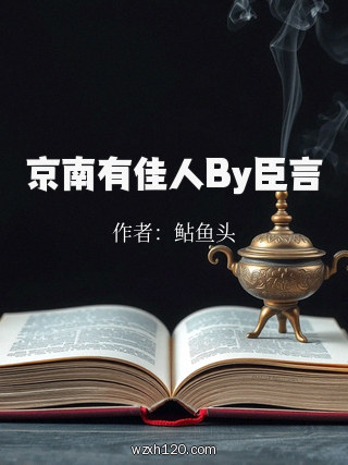 京南有佳人By臣言