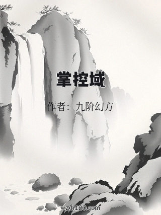 掌控域