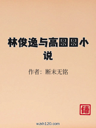 林俊逸与高圆圆小说