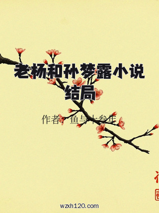 老杨和孙梦露小说结局