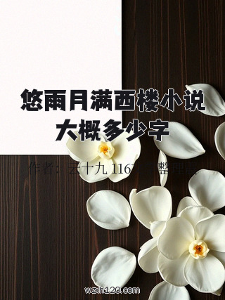 悠雨月满西楼小说大概多少字