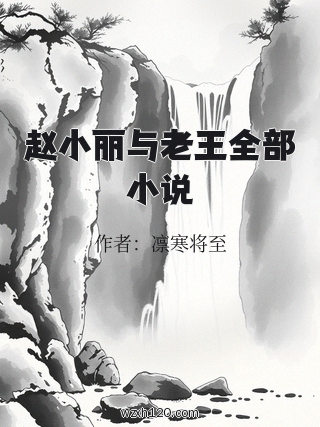赵小丽与老王全部小说