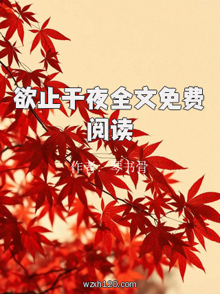 欲止于夜全文免费阅读