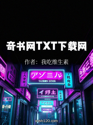 奇书网TXT下载网