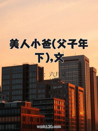 美人小爸(父子年下),文