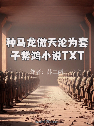 种马龙傲天沦为套子紫鸿小说TXT