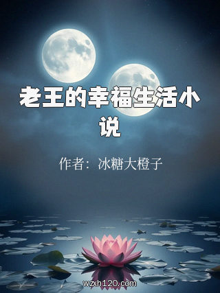 老王的幸福生活小说