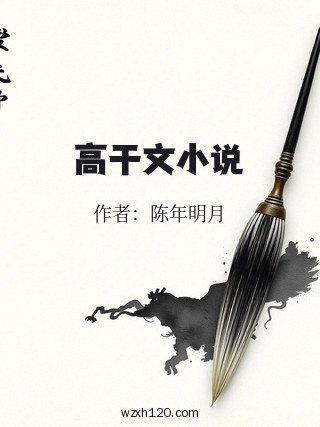 高干文小说