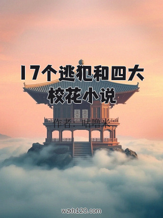 17个逃犯和四大校花小说