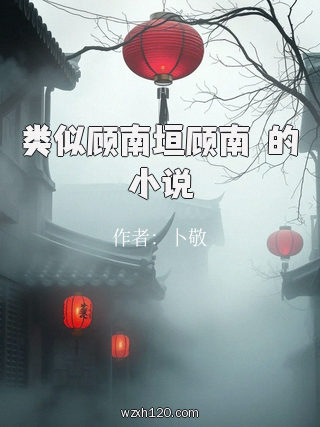类似顾南垣顾南玥的小说
