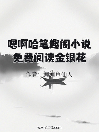 嗯啊哈笔趣阁小说免费阅读金银花