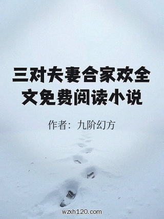 三对夫妻合家欢全文免费阅读小说
