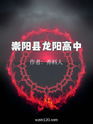 崇阳县龙阳高中