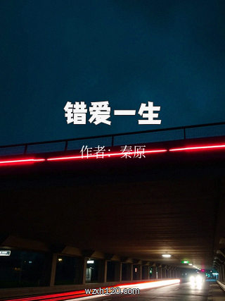 错爱一生