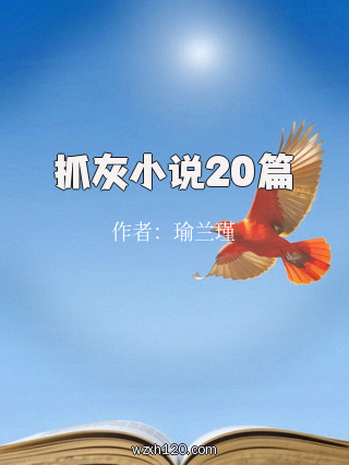抓灰小说20篇