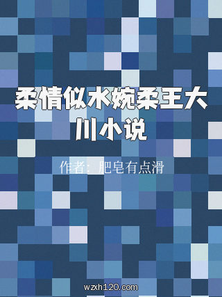 柔情似水婉柔王大川小说