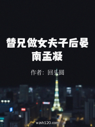 替兄做女夫子后晏南孟凝