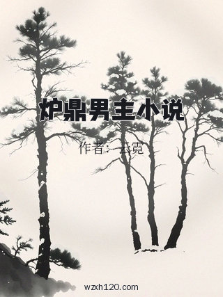 炉鼎男主小说
