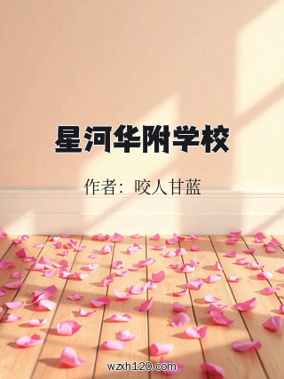星河华附学校