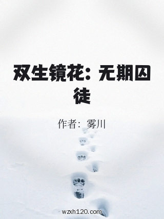 双生镜花:无期囚徒